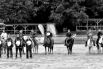 Prorodeo Toeur 15.9.2013 album 2